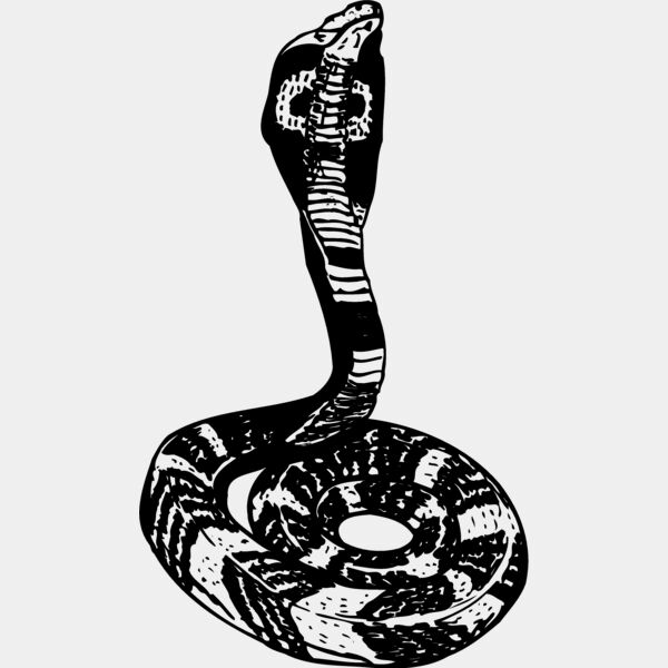 SNAKE006 Thumbnail